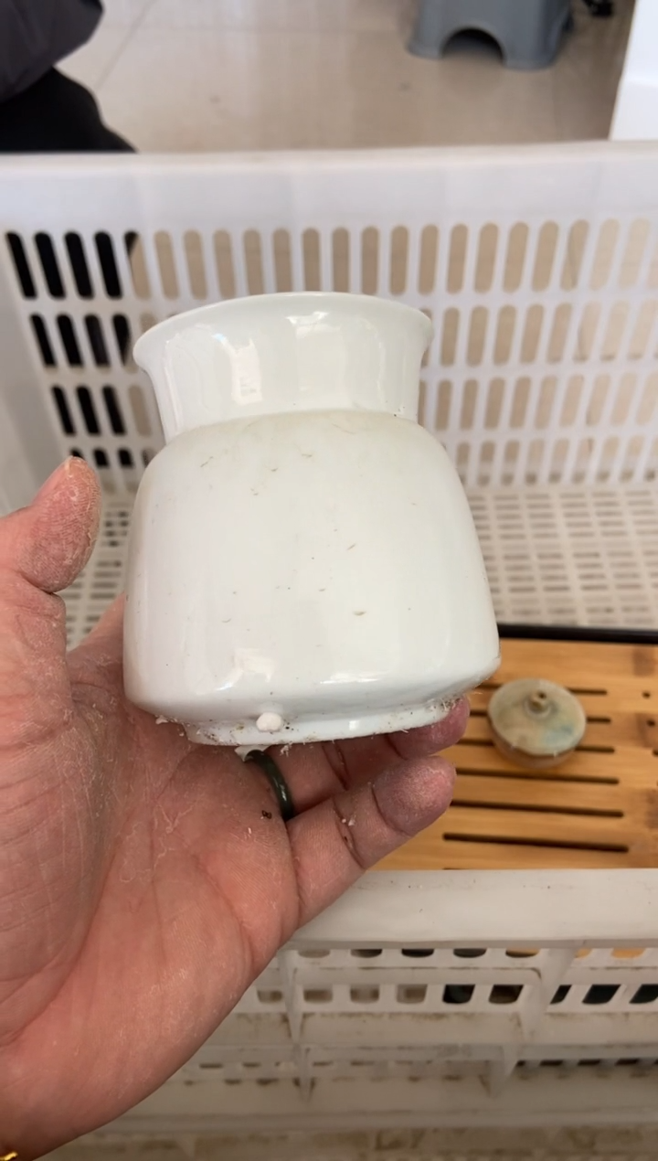 杯无运费险有瑕疵的摄影的产品有使用过的痕迹有点脏介意勿拍杯