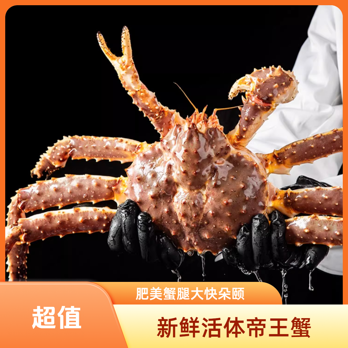 【鲜活次日达 】约2500g1只鲜活海鲜水产俄罗斯帝非皇帝蟹长腿