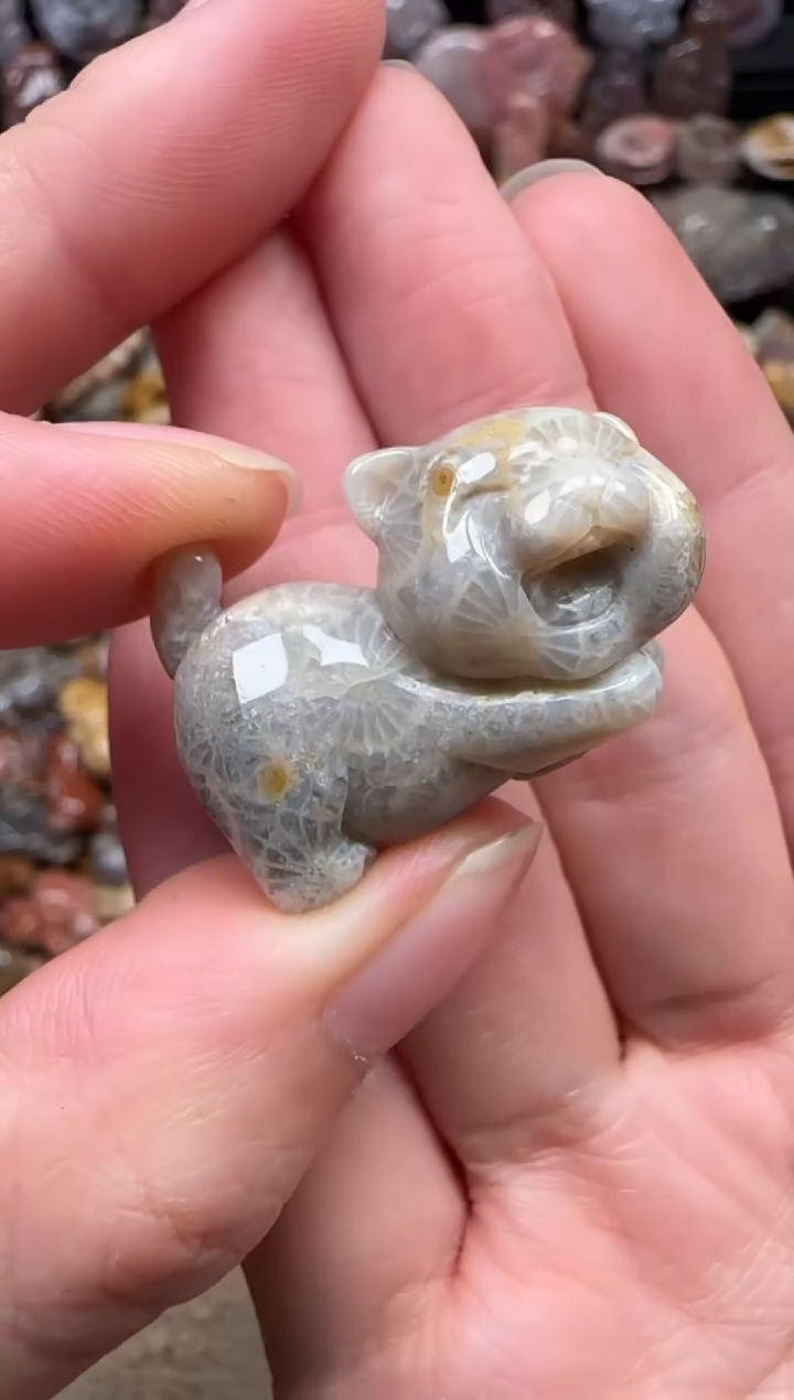 颈饰未镶嵌硅化珊瑚（珊瑚玉）288