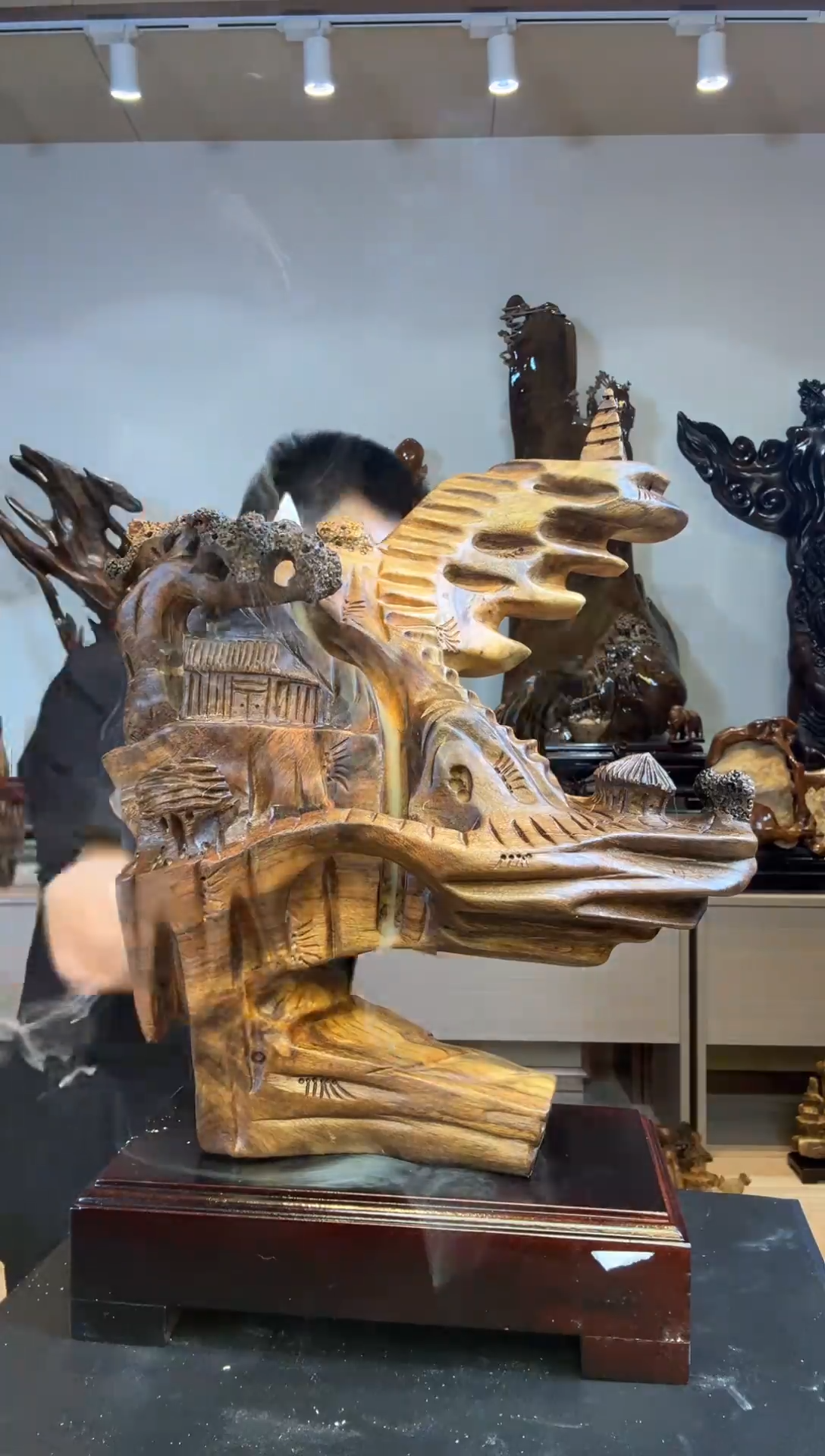 金丝楠小*金丝楠木小叶桢楠   B17