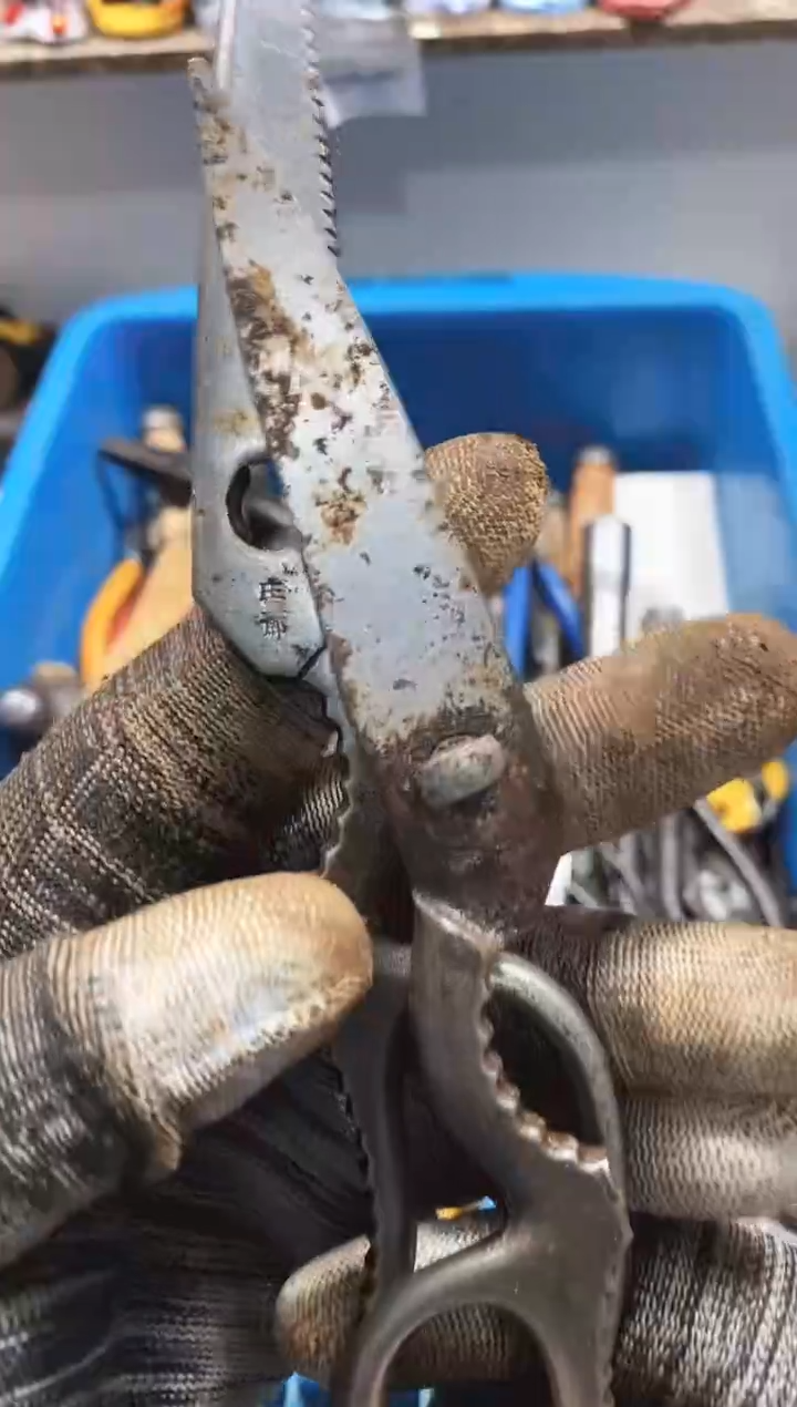 南***瓜麻嘎子工具闪购链接一物一拍
