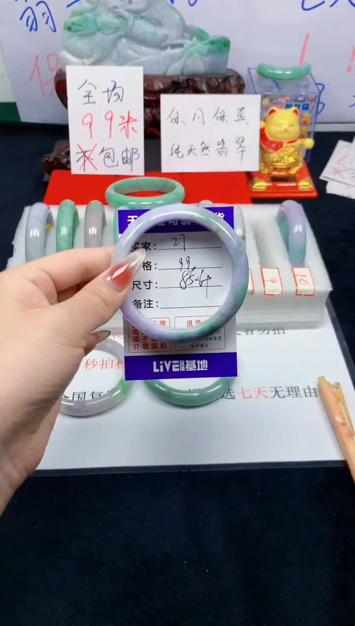 未镶嵌手镯翡翠27