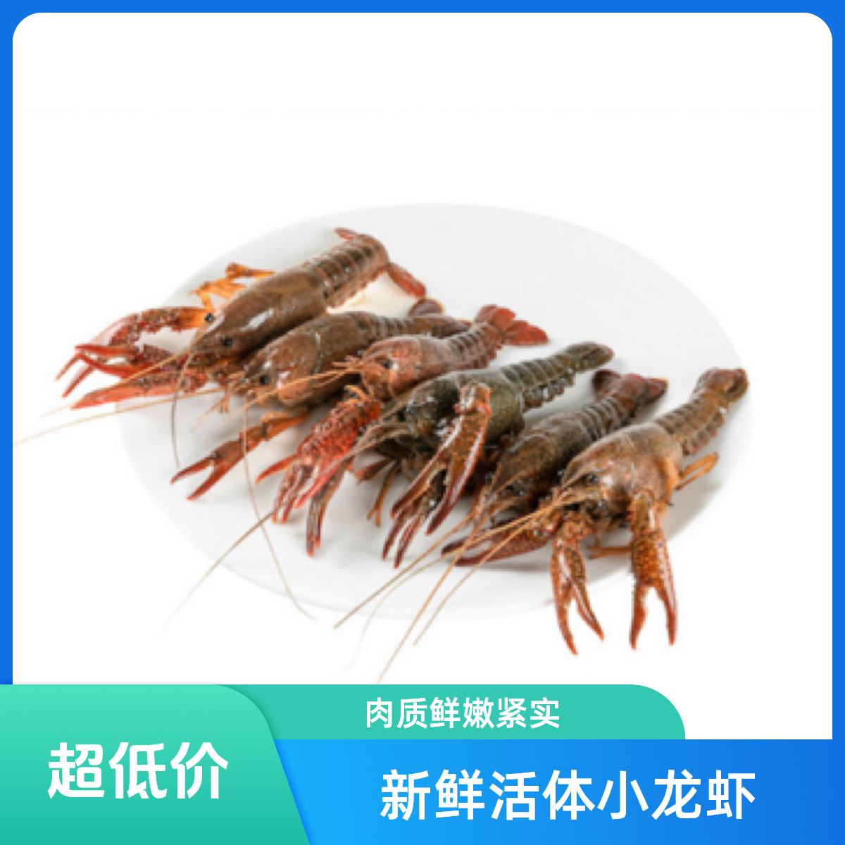 【爆款】鲜活中号小龙虾3斤（17g-28g/只）