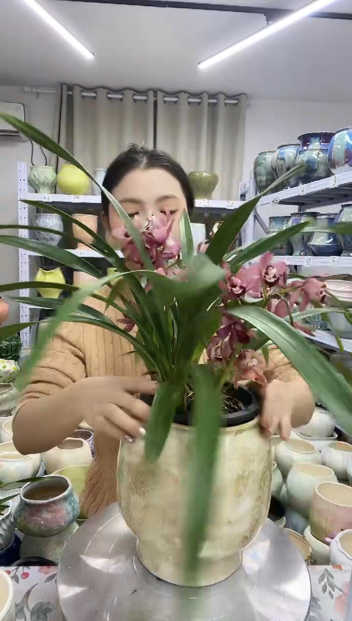 【12.7号】  花盆  高 ：    19口：14