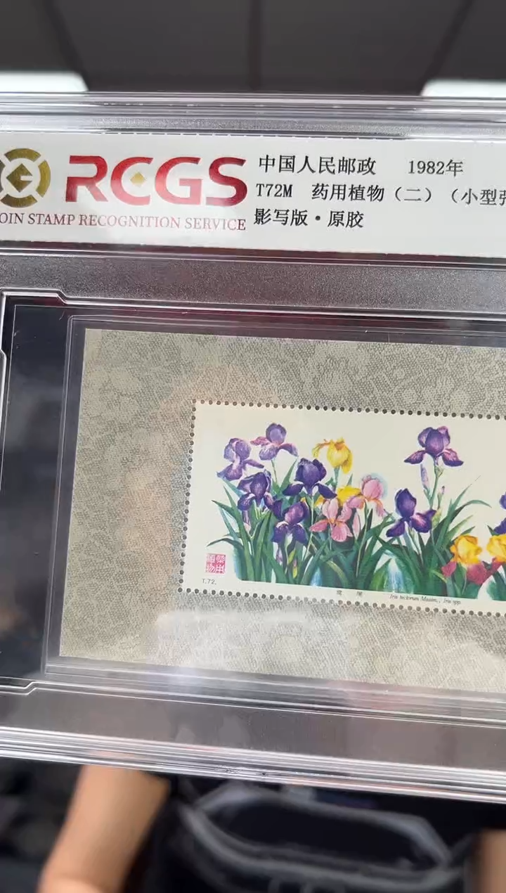 T72M 药用植物【白草药】小型张 RCGS评级 精大盒 原胶