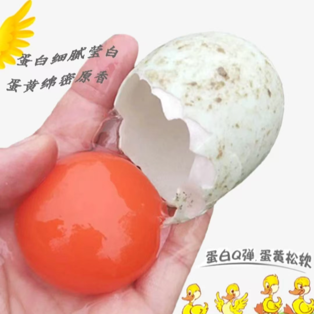 农村散养土鸭蛋新鲜鸭蛋标蛋整箱30枚包邮