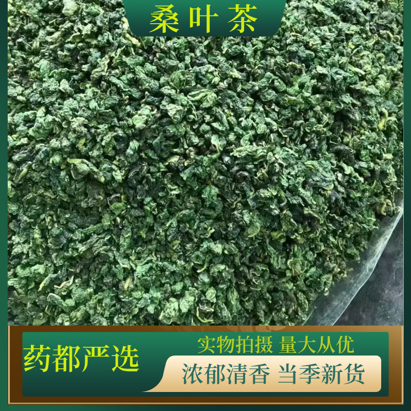 桑叶茶精选霜后桑叶茶可搭配菊花胎菊蒲公英袋泡茶原产地采摘