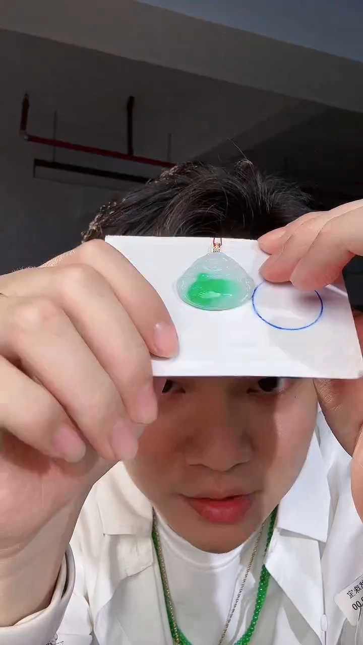 【闪购商品】翡翠颈饰18K金镶嵌缅料A货翡翠/支持复检/一件