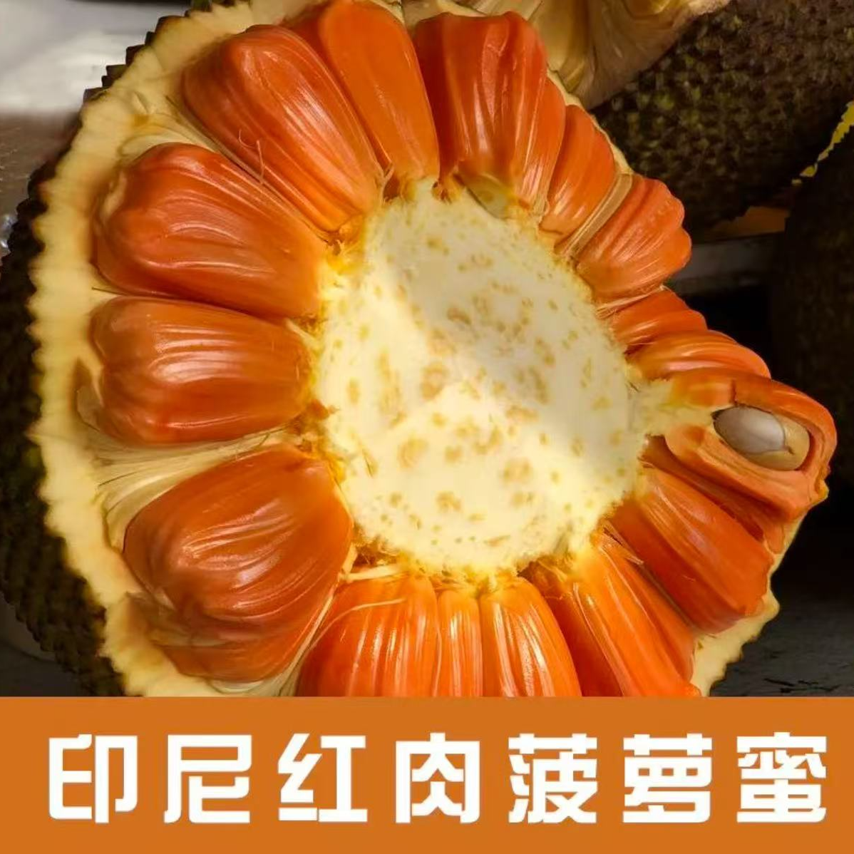 B印尼红菠萝蜜一物一拍15斤以内