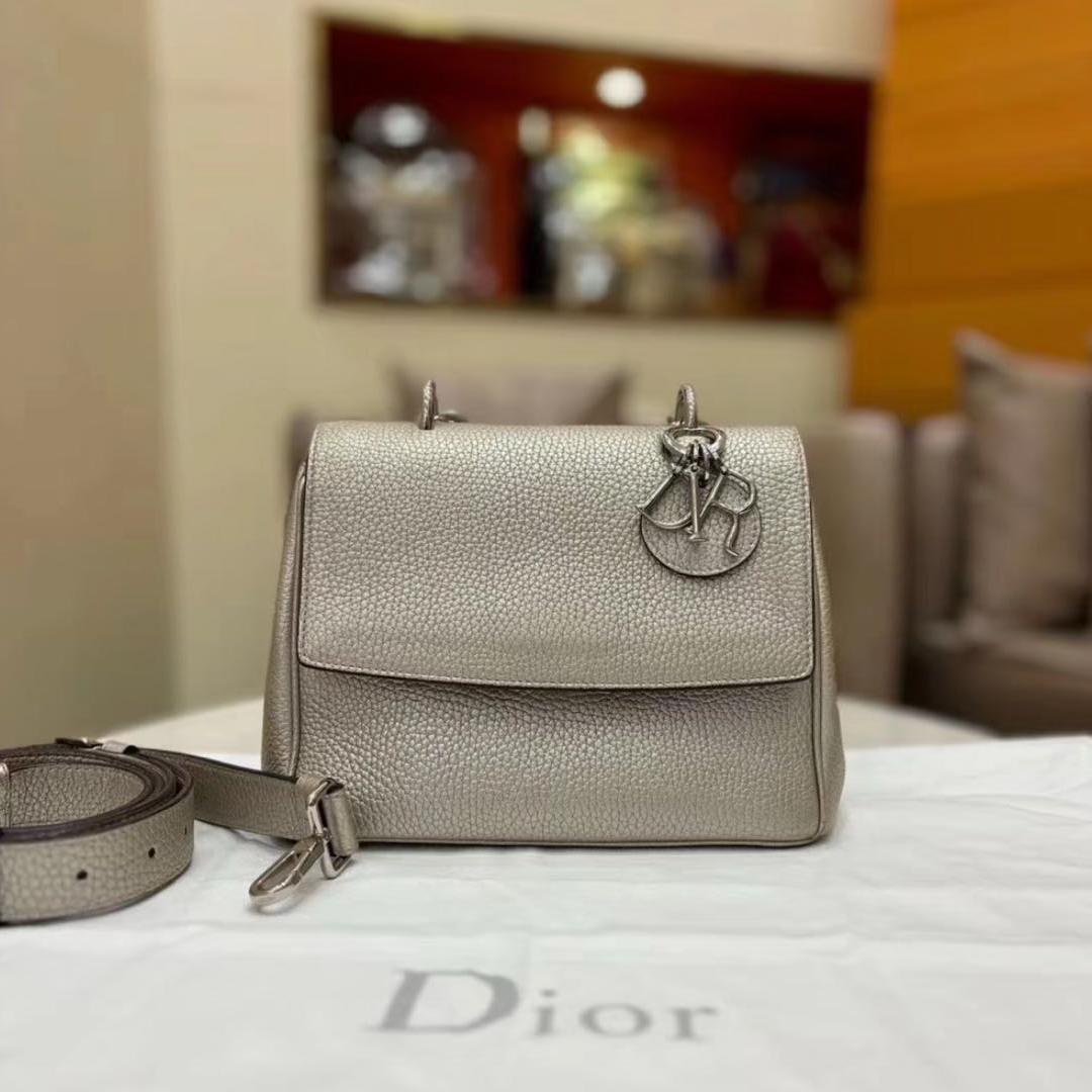 99新 DIOR/迪奥 Dior Bedior珠光灰小号