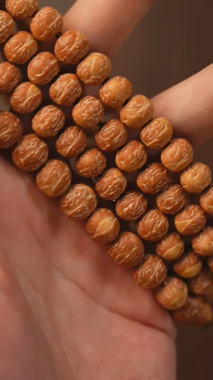 手串凤眼菩提S03酸枣核单圈