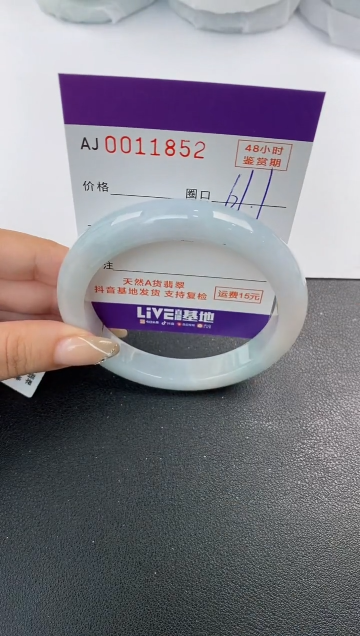 未镶嵌手镯翡翠天然A货翡翠