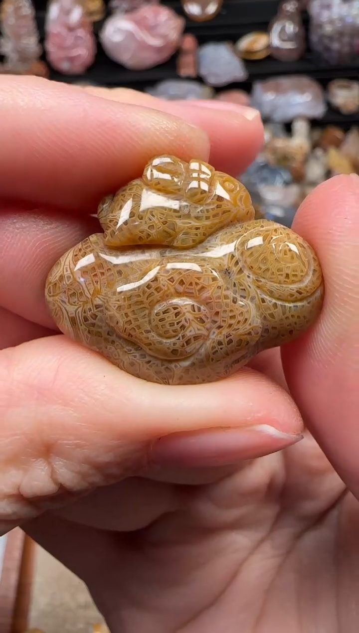 颈饰未镶嵌硅化珊瑚（珊瑚玉）868