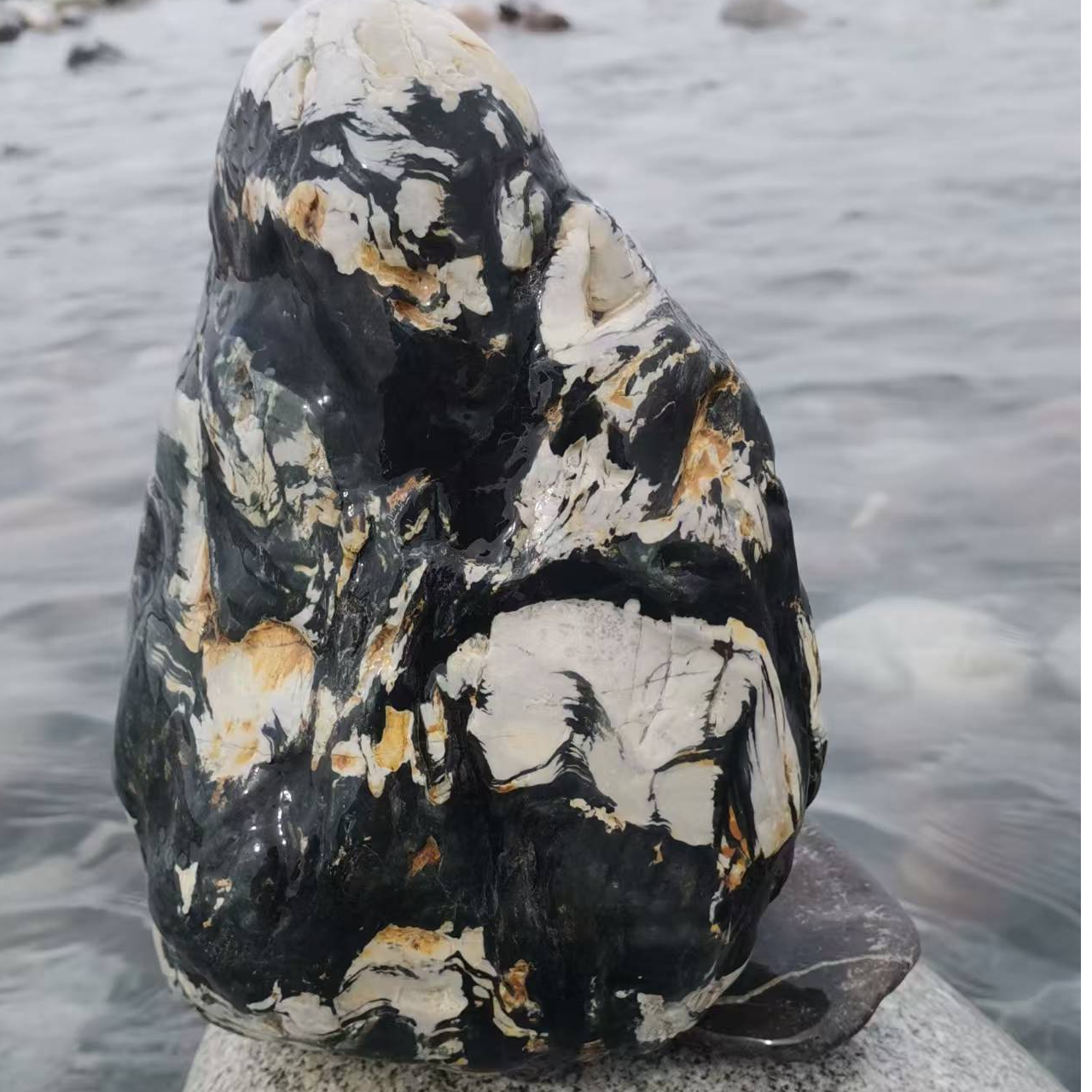 天然新疆塔河奇石