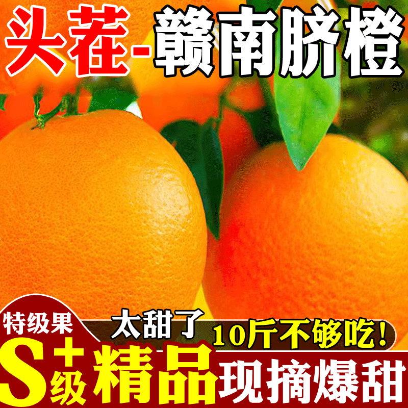 正宗赣南脐橙现摘现发皮薄肉厚新鲜多汁应季水果多仓发货