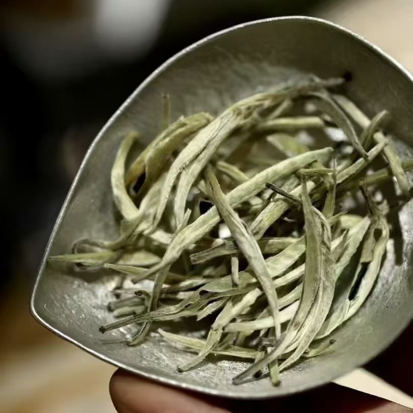 2025年明前精选特大芽-白毫银针散茶 直播间专拍 