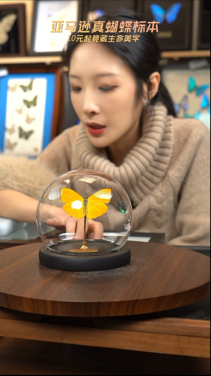 杏菲粉蝶小号玻璃球款