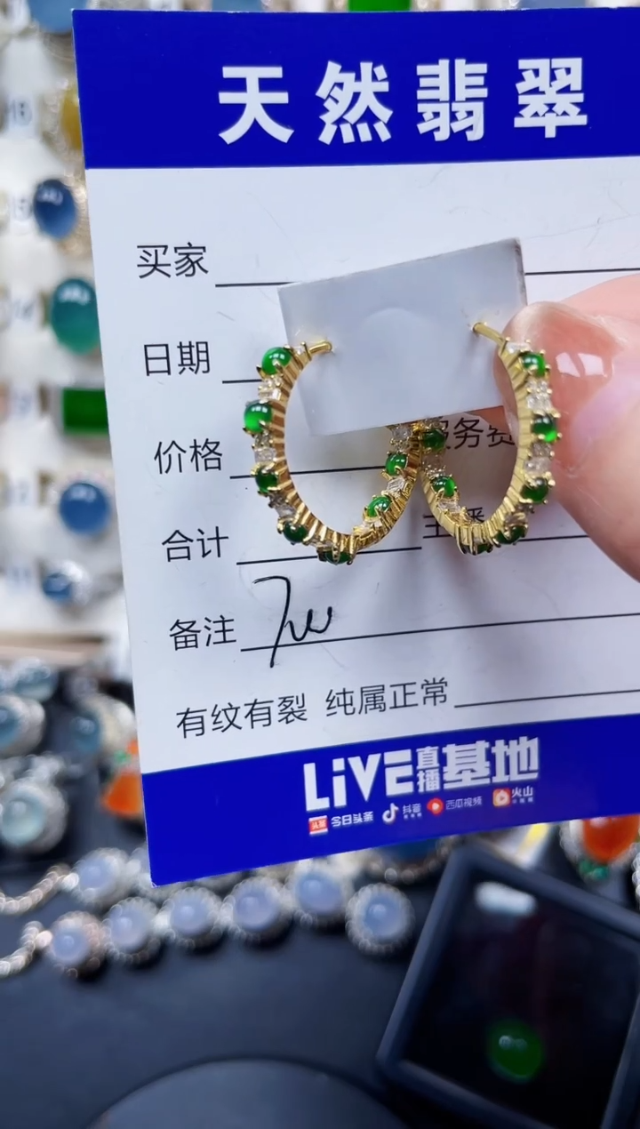 银S925镶嵌翡翠耳饰700