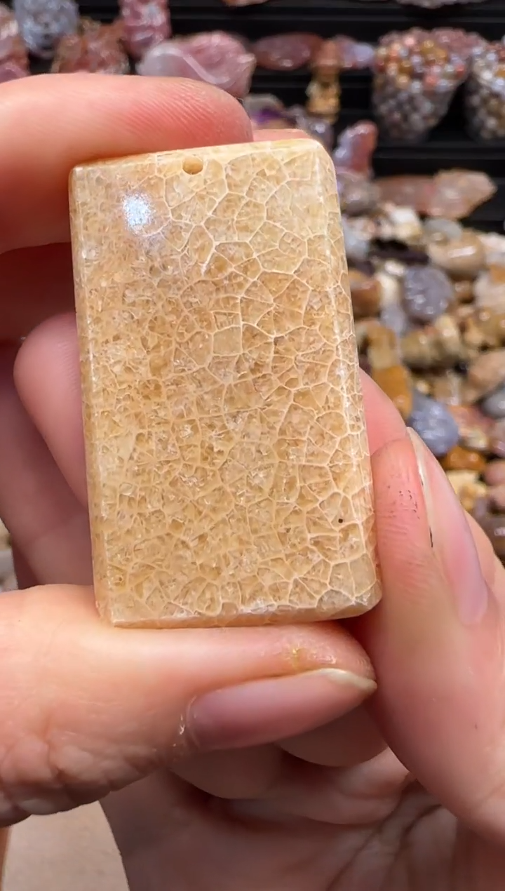 【闪购商品】硅化珊瑚（珊瑚玉）颈饰未镶嵌209