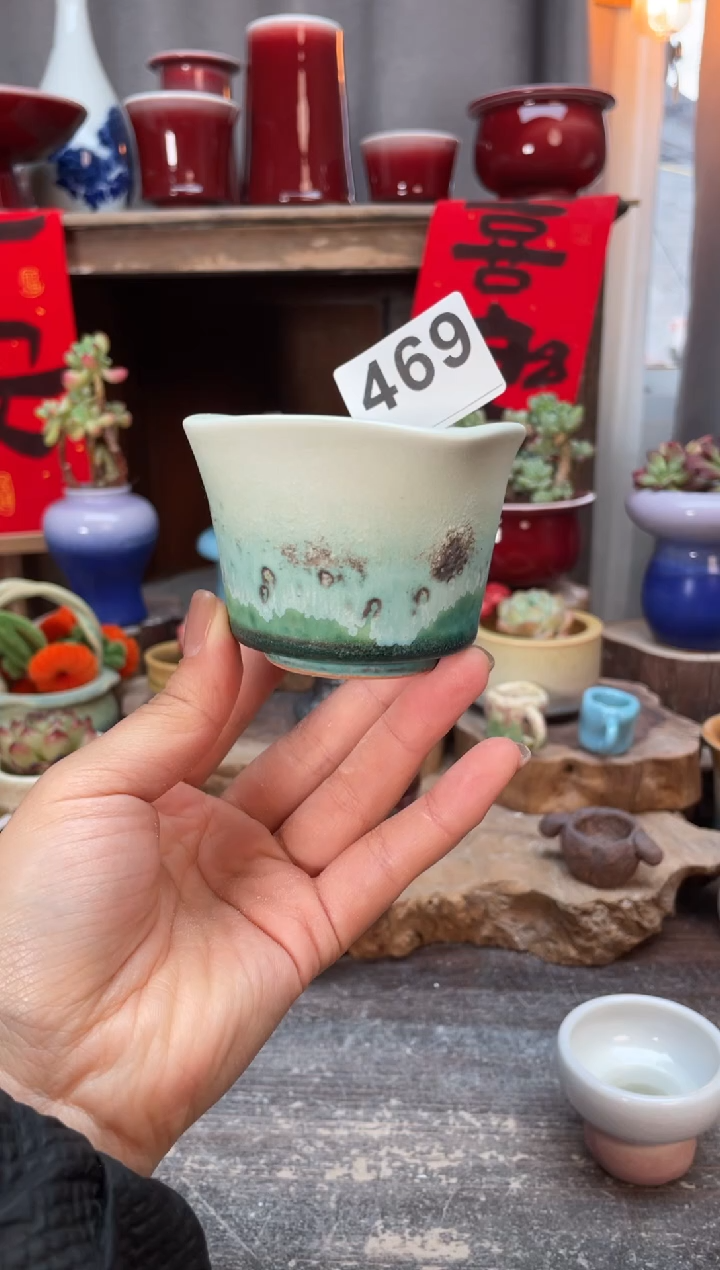 【闪购商品】摆件469知木小芳花盆