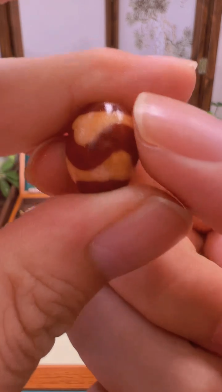 未镶嵌颈饰玛瑙/玉髓（覆膜）74.(微瑕)