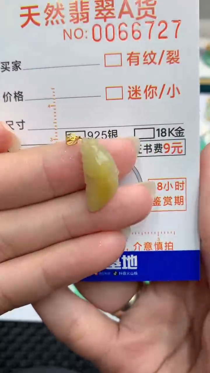 【闪购商品】翡翠颈饰18K金镶嵌            8