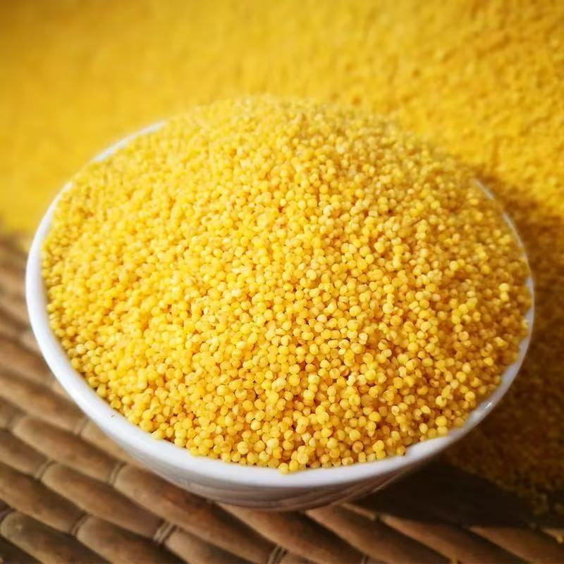 散称ZY特价黄小米 约1kg/份