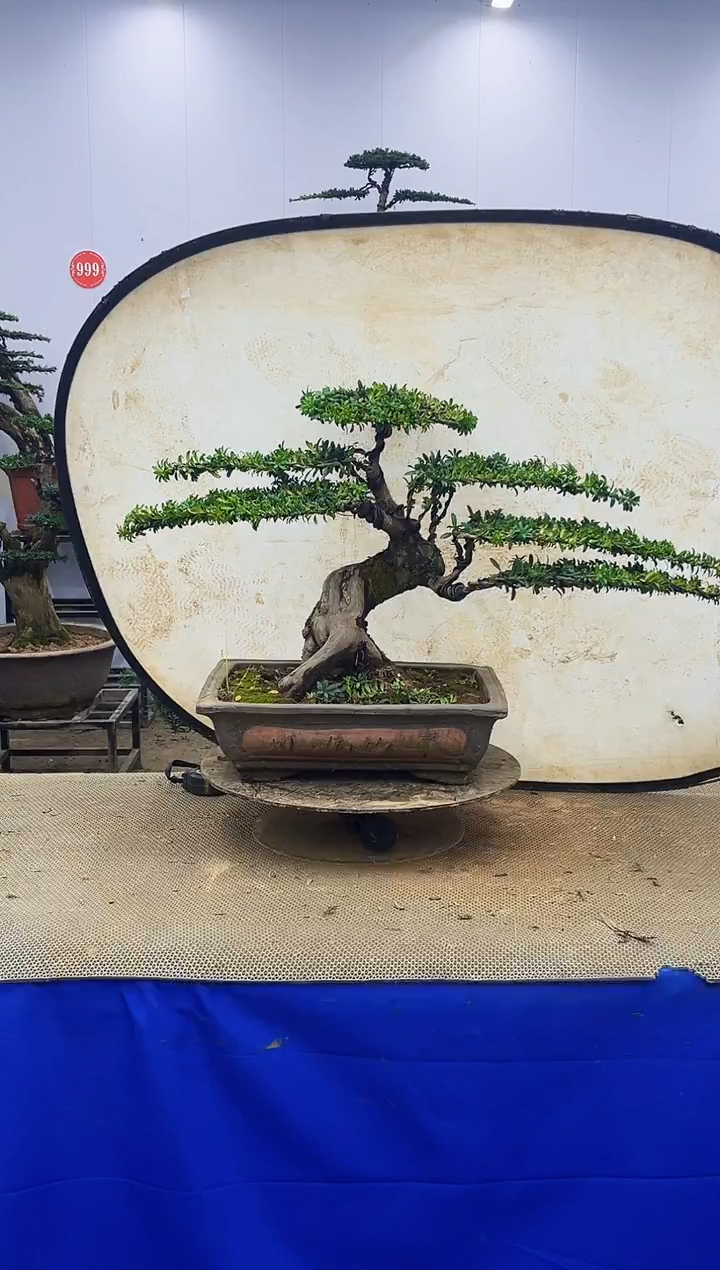 完全开放一物一拍，所见即所得