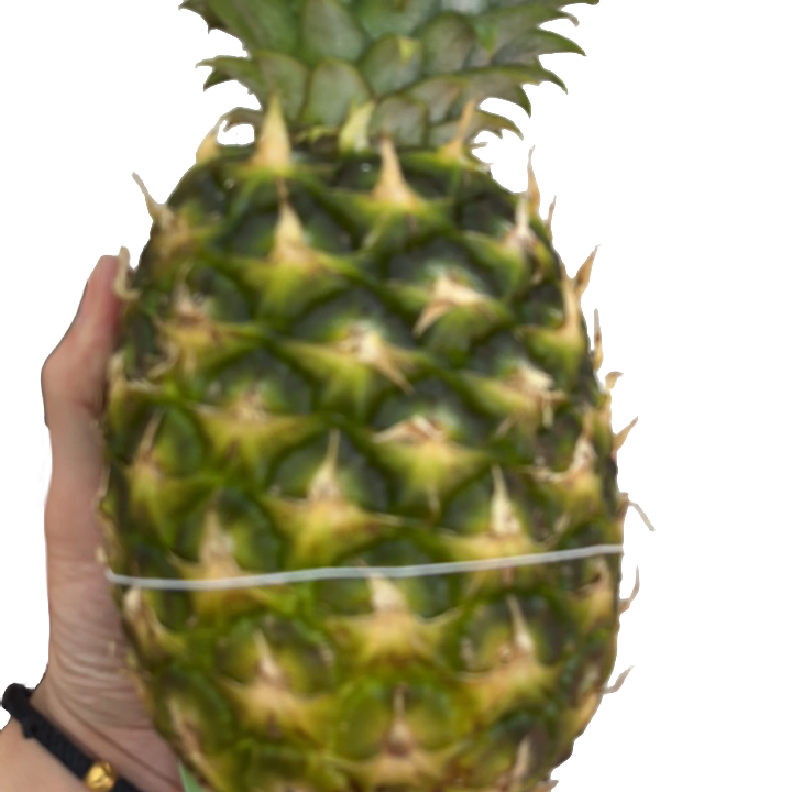 蓝孔雀凤梨整果1个