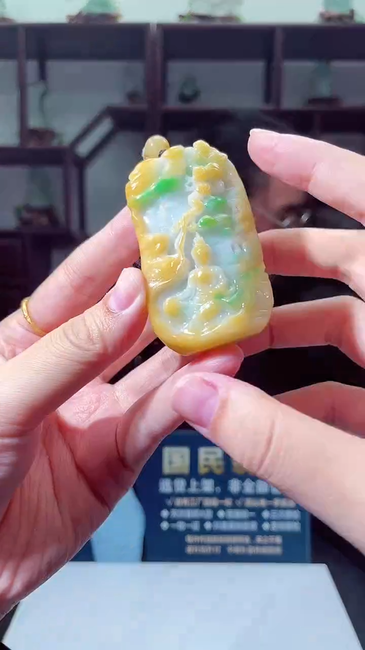 颈饰未镶嵌翡翠X-@@WYZM101342