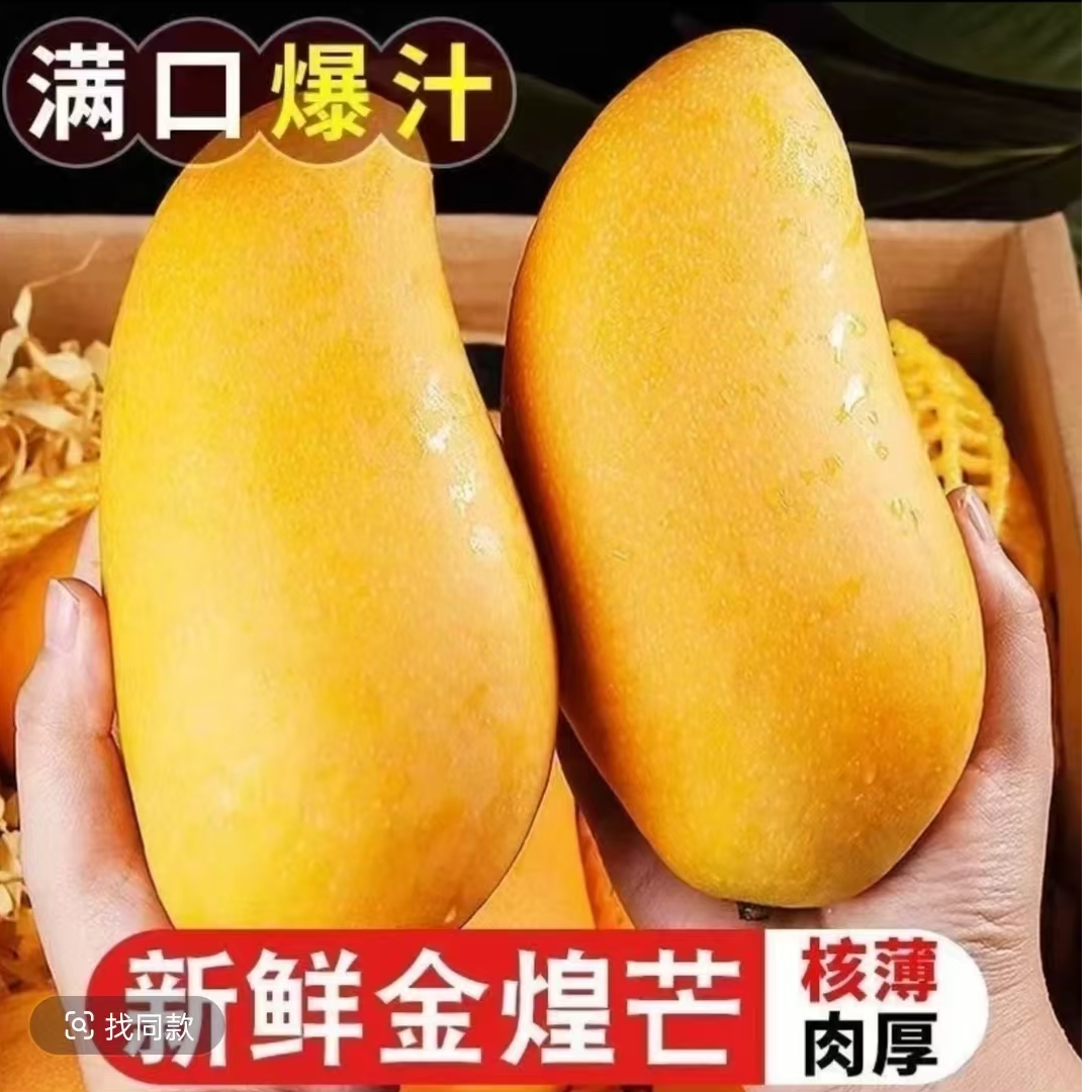 【正宗金煌芒】黄皮金煌芒新鲜采摘黄皮芒果产地直发坏果包赔