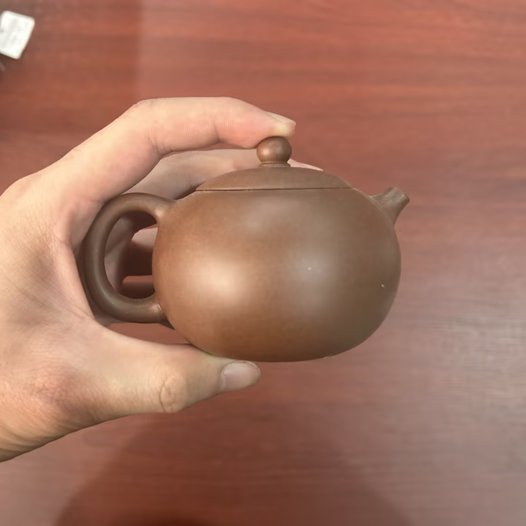 【央广非遗】西施壶 紫砂壶 ttzs14