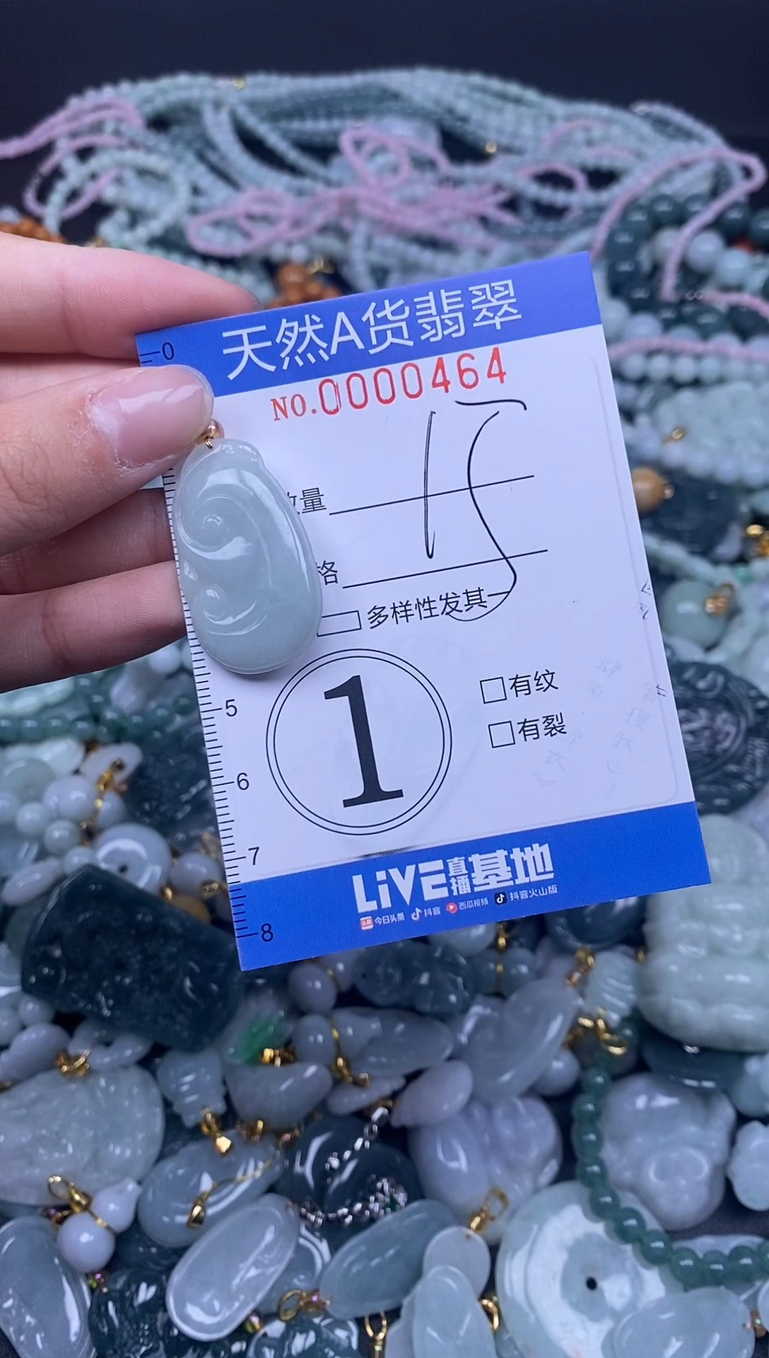 颈饰未镶嵌翡翠天然A货翡翠000464