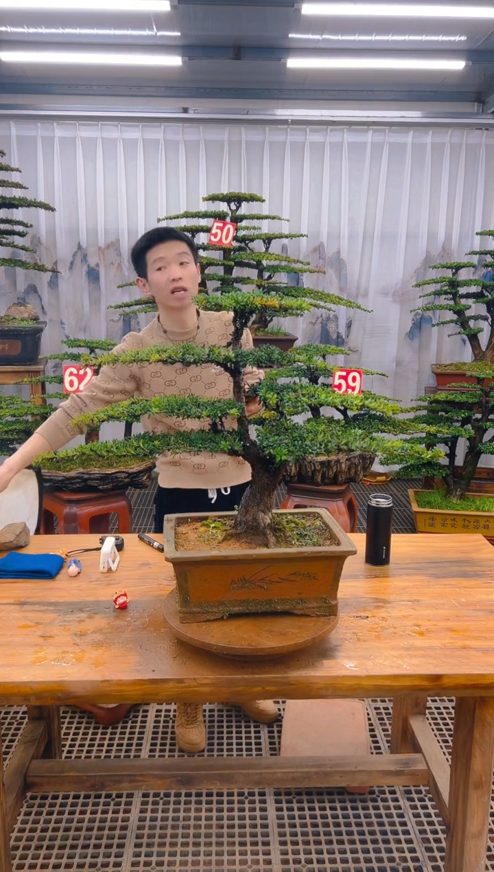 【闪购商品】紫砂精品盆景直播间一物一拍