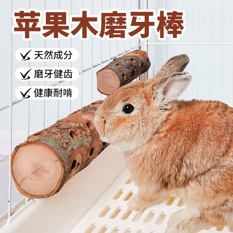 兔子磨牙解闷玩具神器悬挂式苹果木咬木枝龙猫豚鼠荷兰猪磨牙棒
