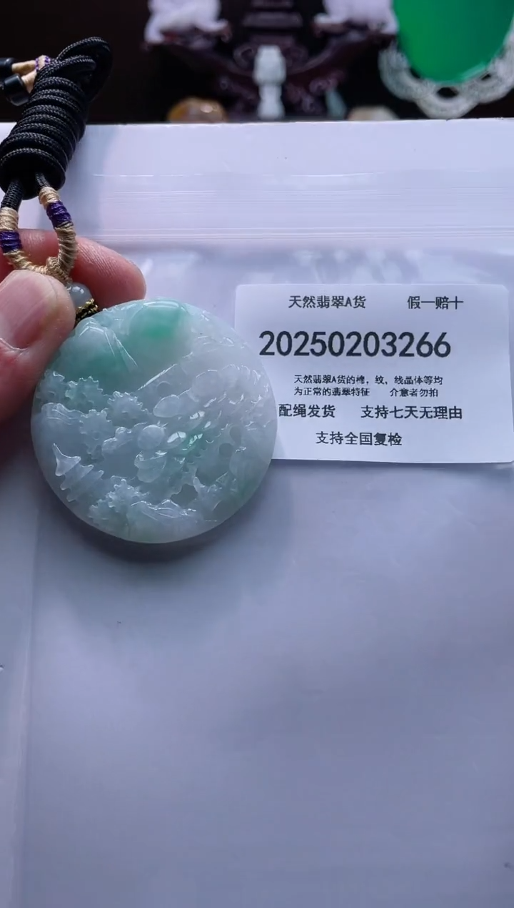 【闪购商品】翡翠颈饰未镶嵌闪购商品8号店200250020024