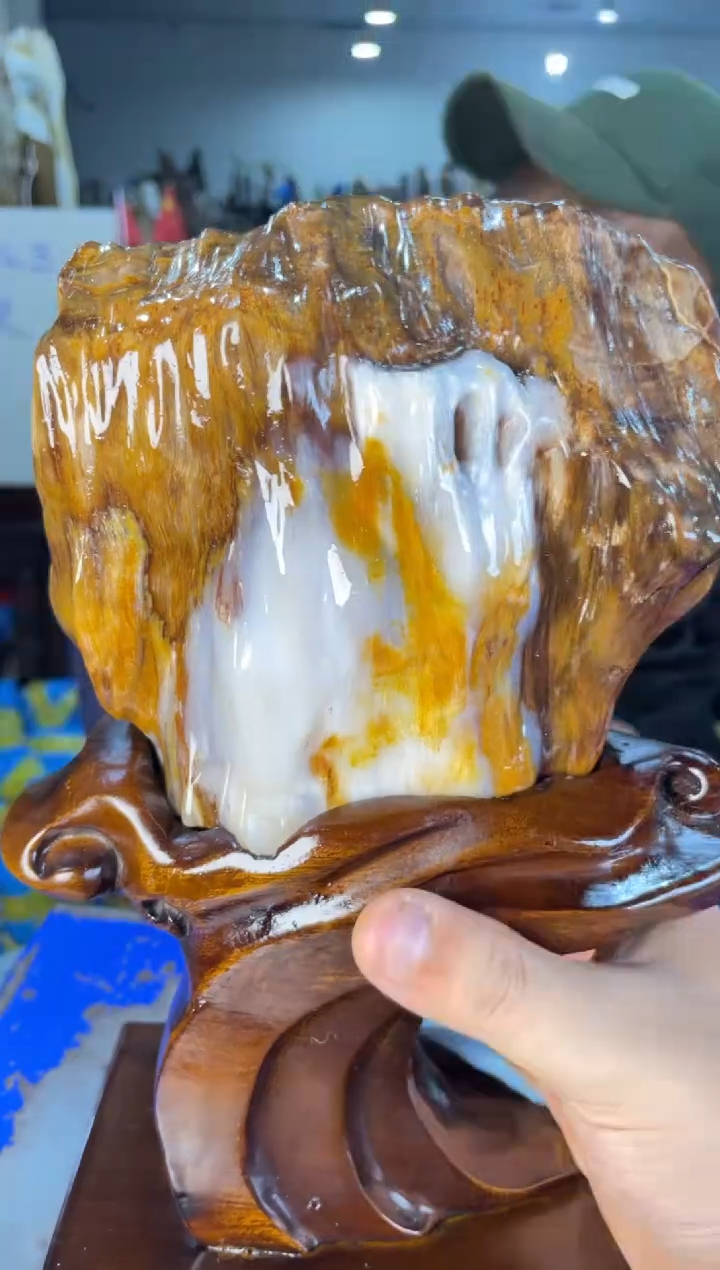 未镶嵌摆件硅化玉10