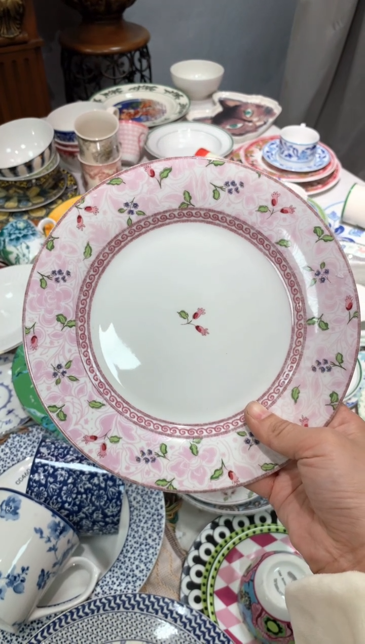 【闪购商品】瓷片陶瓷原单CC212餐具1个8寸