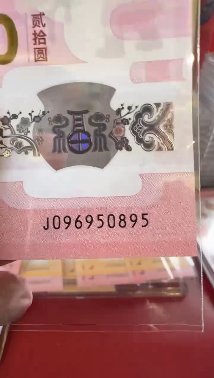 【闪购商品】塑料2025蛇钞 啊啊啊啊啊啊啊啊单张裸