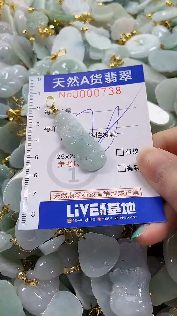 颈饰未镶嵌翡翠纯天然货翡翠