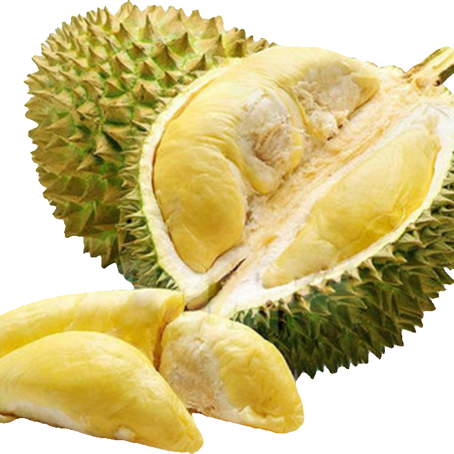 泰国树熟金枕新鲜榴莲2斤纯果肉核小no售后榴莲同城送金枕泰国