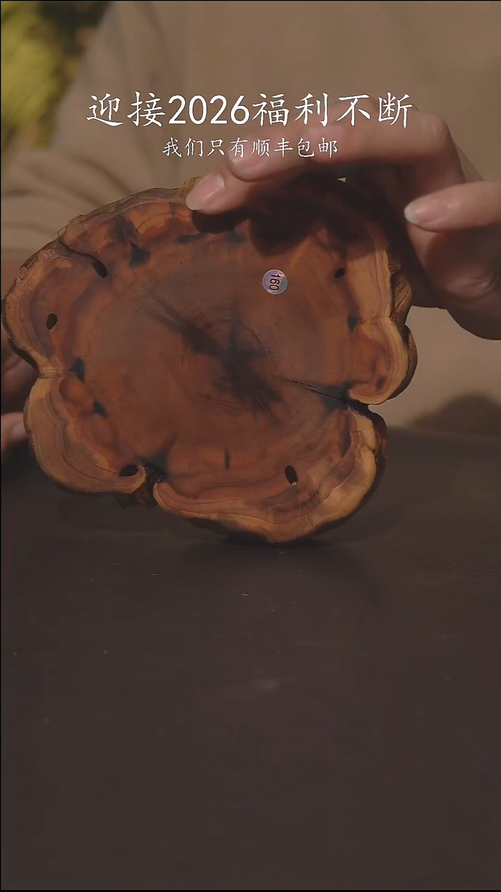 老柴叶烧不退不换160