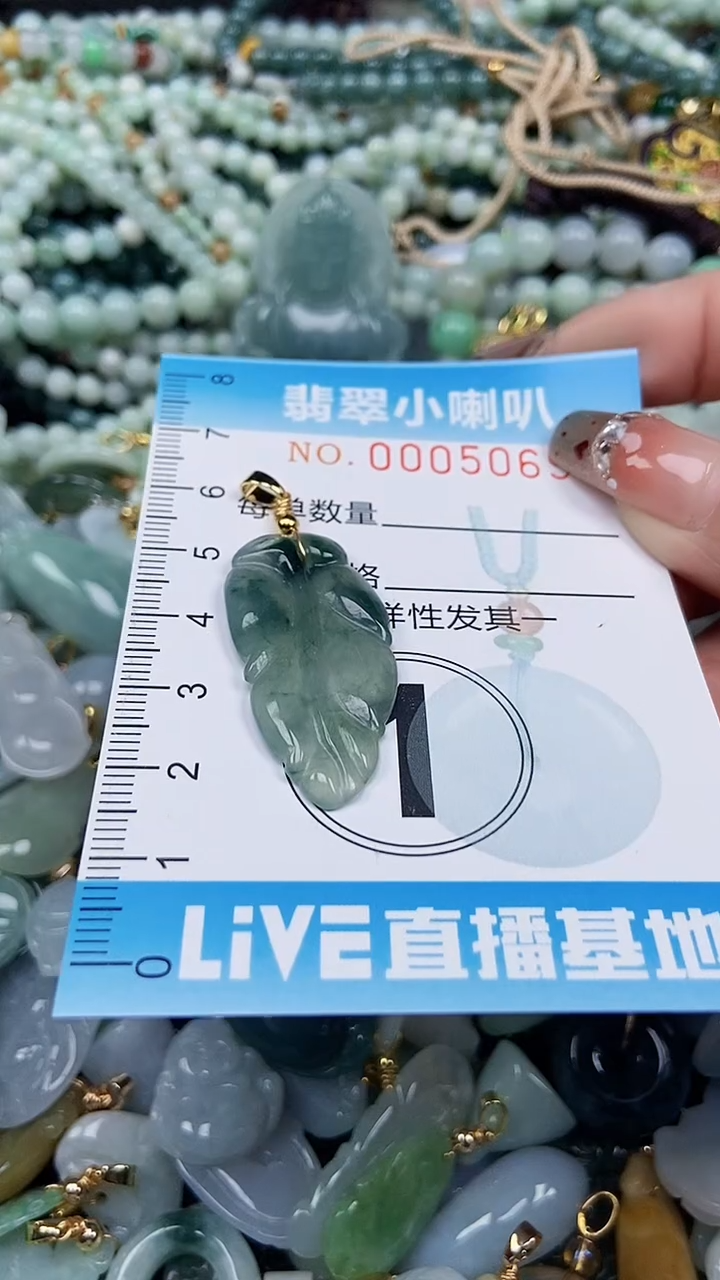 【闪购商品】翡翠颈饰未镶嵌闪购0000569多样性发其一