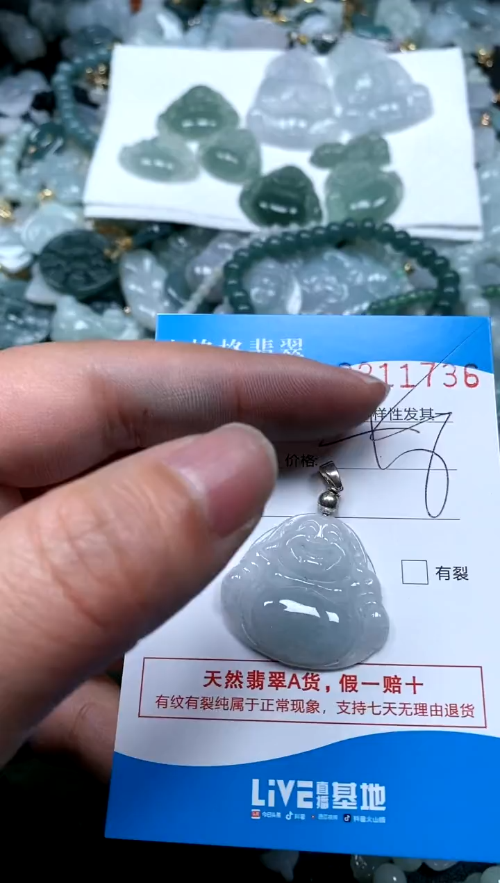【闪购商品】翡翠颈饰未镶嵌闪购商品0211736