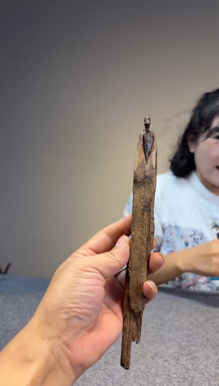 贡木从**发贡木贡木贡木