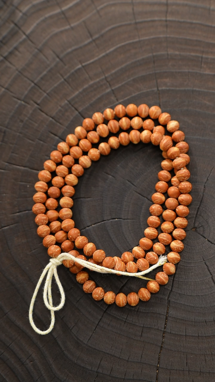 菩提手串/手链7.0新品+108