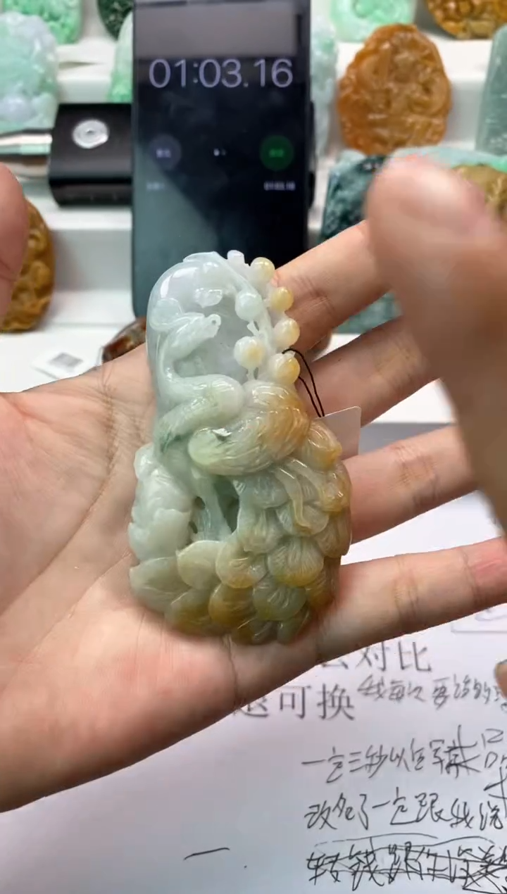 【闪购商品】翡翠颈饰未镶嵌天然翡翠