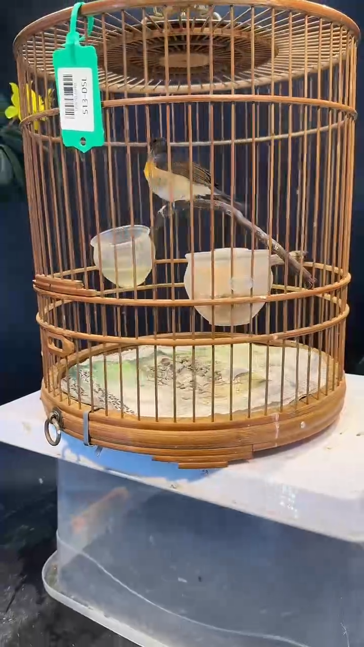 19号  山岚养笼  0元起拍