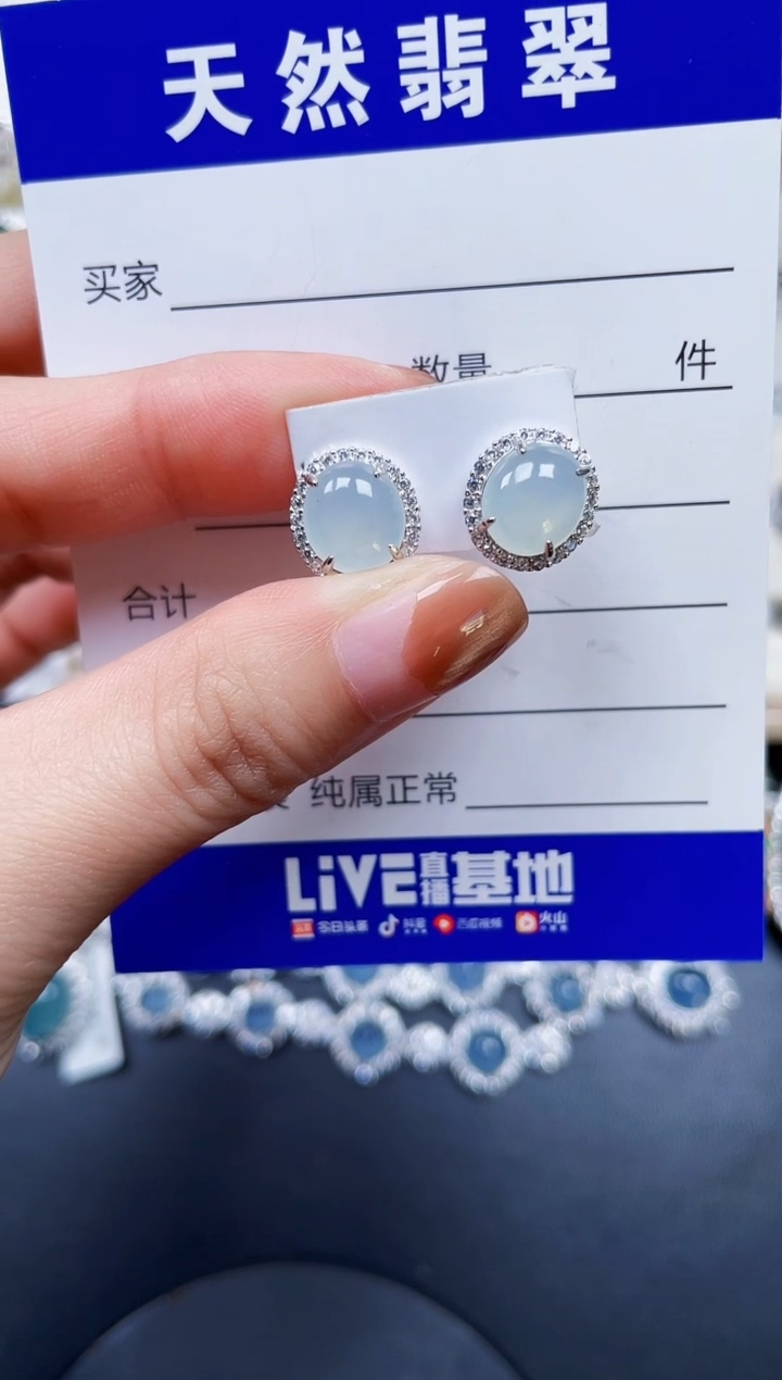 银S925镶嵌翡翠耳饰184