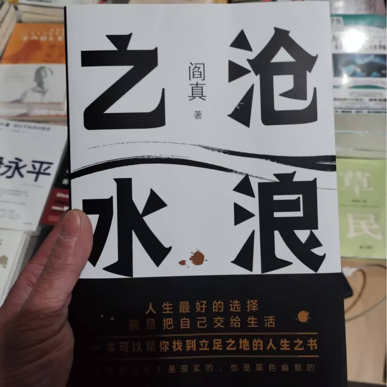 沧浪之水  阎真著经典官场职场小说